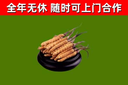 亭湖烟酒回收冬虫夏草.jpg